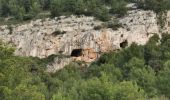 Tocht Stappen Ollioules - Les grottes de Chateauvallon - Photo 3