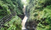 Trail Walking Belfast - glenarif forest park - waterfalls - Photo 2