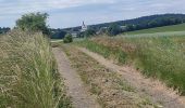 Tour Wandern Weinsheim - Weinsheim dag 3 - Photo 4