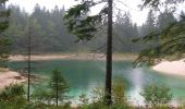 Percorso A piedi Tarvisio - Giro del Lago - Photo 1