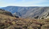 Randonnée Marche Rosis - Douch - Col de l'ourtigas - Douch - Photo 3