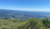 Tour Wandern Gravières - Serre de Barre - Photo 8