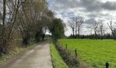 Trail Walking Dendermonde - Dendermonde 18,4 km - Photo 12