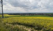 Tour Wandern Gouaix - petite randonnée bois de GOUAIX - Photo 4