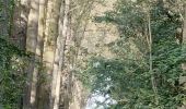 Tour Wandern Heers - Wikiloc Hornebos  (PVDB) - Photo 16