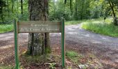 Tocht Elektrische fiets Ostwald - Sans pluie  - Photo 10