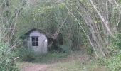 Tour Wandern Vouvant - Vouvant  - Photo 6
