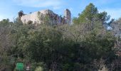 Tour Wandern Rocbaron - Castellas de Forcalqueiret - Photo 3