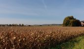 Tocht Elektrische fiets Ronse - Renaix - Mont de l'enclus, Escanaffles, Kwaremont, Zulzeke - Photo 2