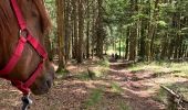 Trail Horseback riding Fraize - Fraize-Orbey - Photo 15