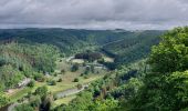 Trail Walking Vresse-sur-Semois - Laforet 240522 - Photo 13