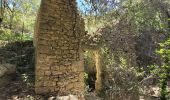 Tour Zu Fuß Gordes - les gorges de la Véroncle - Photo 15