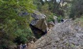 Tour Wandern Ollioules - 2021 10 20 les gorges de la Destel - Photo 7