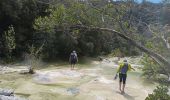 Trail Walking Navacelles - cal - Photo 4