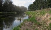 Randonnée A pied Breckland - Little Ouse Path - Photo 1