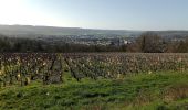 Tour Wandern Château-Thierry - Les vignes Castelles - version 8 km - Photo 7