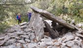 Excursión Senderismo Minerve - Les dolmens de Vieulac - Photo 7