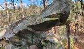 Tocht Stappen Fontainebleau - coseg 26 février  - Photo 1