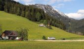 Tour Zu Fuß Admont - Wanderweg 77, Sonnenseitenweg - Photo 5