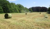 Trail Walking Franqueville-Saint-Pierre - 20200520-Le Faulx - Photo 5