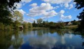 Tour Wandern Tauxigny-Saint-Bauld - Saint-Bauld - La Vallée de l'Echandon - 16.4km 170m 3h35 - 2020 09 26 - Photo 2