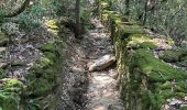 Trail  Saint-Privat - Grand mont Soumont Le Bosc  - Photo 4