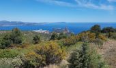 Trail Walking Cassis - les crêtes  de La Ciotat - Photo 3