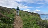 Trail Walking Crozon - J7 Chateau Dinan  - Photo 4