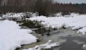 Trail Walking Theux - Bronromme sous la neige  - Photo 8