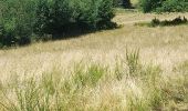 Tour Wandern Lierneux - Lierneux- Regné terug via de oude trambaan - Photo 11