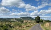 Tocht Stappen Blanzac - Rachat - Chapelle de Chassaleuil - Photo 15