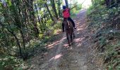 Trail Horseback riding Pisieu - Pisieu 2  - Photo 5