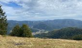 Trail Walking Kirchberg - Lochberg ferme auberge - Photo 9