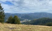 Tocht Stappen Kirchberg - Lochberg ferme auberge - Photo 9