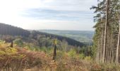 Trail Walking Trois-Ponts - brume 2 - Photo 1