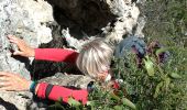 Trail Walking La Roquebrussanne - la roquebrussanne - Photo 13