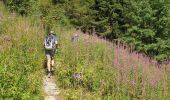 Tocht Stappen Méolans-Revel - Eaux Tortes Laverq - Photo 18