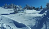 Tocht Sneeuwschoenen Lans-en-Vercors - Belvédère des Cimes et Moucherotte en raquettes - Photo 10