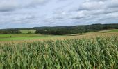 Trail Walking Bouillon - Bellevaux 190923 - Photo 12