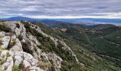 Trail Walking Lacoste - Massif des Cèdres via Lacoste - Photo 14