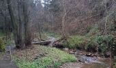 Tour Wandern Stablo - Francorchamps roannay rive gauche - Ruy retour rive droite - Photo 2