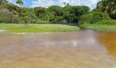 Excursión Senderismo Le Vauclin - Boucle Macabou via Morne Flambeau - Photo 5