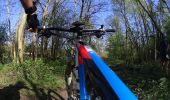 Tocht Mountainbike Charleroi - Ransart -luttres - Photo 8
