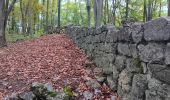 Tour Wandern Aywaille - dieupart . embleve . thier bosset . kin . henoumont . vieux jardin . dieupart  - Photo 4