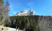 Tour Wandern Plateau-des-Petites-Roches - col du coq - Photo 4