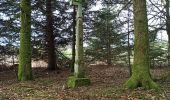 Tocht Stappen Rupt-sur-Moselle - 19-04-25 : Beuille ( Vosges)  - Photo 2