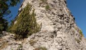 Randonnée Marche Léoncel - Pierre Chauve - Col de Tourniol - Photo 6