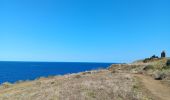 Trail Walking Cerbère - village des aloès - cap cerbère/ aller-retour - Photo 4