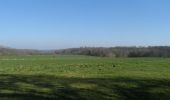 Trail Walking Saint-Pierre-des-Fleurs - 20220308-St Pierre des Fleurs - Photo 19