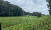 Tour Wandern Doische - Soulme Vodelee - Photo 4